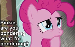 Size: 800x500 | Tagged: safe, edit, edited screencap, imported from derpibooru, screencap, pinkie pie, pony, season 5, the lost treasure of griffonstone, animaniacs, caption, female, image macro, meme, pinky and the brain, raised hoof, solo, thinking