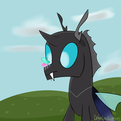 Size: 1500x1500 | Tagged: safe, artist:darklordsnuffles, imported from derpibooru, changeling, insect, cloud, grass, insect on nose, simple background, solo, stare, wings