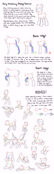 Size: 2500x8000 | Tagged: safe, artist:kianamai, imported from derpibooru, pony, anatomy, poses, tutorial