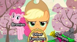 Size: 637x348 | Tagged: safe, imported from derpibooru, applejack, pinkie pie, oc, brony, dragon ball, dragon ball xenoverse, dragonball z abridged, dumplin, fandom, image macro, meme, meta, mr. popo, op is a duck, op is a space duck, op is trying to start shit, poe's law, team four star, wat, xk-class end-of-the-world scenario