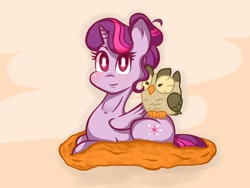 Size: 800x600 | Tagged: safe, artist:von-seay, imported from derpibooru, owlowiscious, twilight sparkle, alicorn, pony, alternate hairstyle, cute, female, mare, twiabetes, twilight sparkle (alicorn)