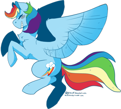 Size: 1000x900 | Tagged: safe, artist:kittyisawolf, imported from derpibooru, rainbow dash, backwards cutie mark, female, solo