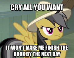 Size: 606x476 | Tagged: safe, imported from derpibooru, screencap, daring do, female, image macro, meme, solo