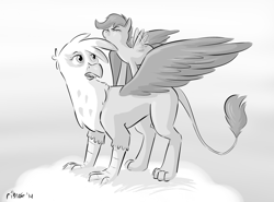 Size: 1280x949 | Tagged: safe, artist:ribnose, imported from derpibooru, gilda, scootaloo, griffon, pegasus, pony, cloud, cute, grayscale, monochrome, ponies riding griffons, riding, scootaloo can't fly, scootaloo riding gilda, spread wings, wings