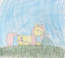 Size: 2205x1981 | Tagged: safe, artist:j4m35c, imported from derpibooru, fluttershy, rabbit, boop, cute, grass, noseboop, traditional art