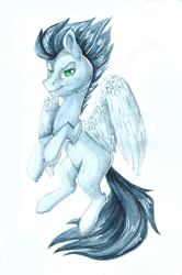 Size: 1150x1729 | Tagged: safe, artist:pellsya, imported from derpibooru, soarin', blank flank, male, solo, traditional art, watercolor painting