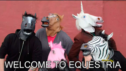 Size: 960x540 | Tagged: safe, imported from derpibooru, screencap, human, slice of life (episode), hoers mask, horse mask group shot, image macro, irl, irl human, ishi rudell, jayson thiessen, jim miller, katrina hadley, meme, photo, timothy packford, true equestria, wat