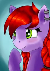 Size: 752x1063 | Tagged: safe, artist:chrisgotjar, imported from derpibooru, oc, oc only, oc:crab apple, braid, portrait