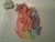 Size: 1024x768 | Tagged: safe, artist:colouredteapot, imported from derpibooru, scootaloo, eyes closed, female, rainbow, solo, traditional art