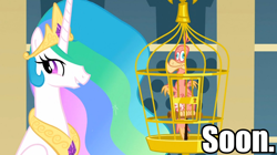 Size: 960x539 | Tagged: safe, imported from derpibooru, screencap, philomena, princess celestia, alicorn, bird, phoenix, pony, birdcage, cage, duo, ethereal mane, female, image macro, mare, meme, soon