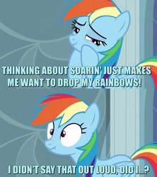 Size: 1280x1440 | Tagged: safe, edit, edited screencap, imported from derpibooru, screencap, rainbow dash, soarin', tanks for the memories, blue text, caption, female, image macro, innuendo, male, meme, pun, scrunchy face, shipping, soarindash, solo, straight, thinking