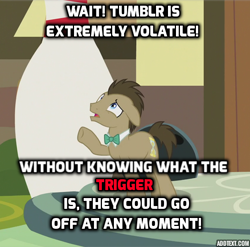 Size: 439x434 | Tagged: safe, edit, edited screencap, imported from derpibooru, screencap, doctor whooves, time turner, pony, slice of life (episode), image macro, male, meme, social justice warrior, stallion, trigger warning, tumblr