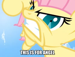 Size: 926x703 | Tagged: safe, imported from derpibooru, fluttershy, smile hd, angry, female, image macro, solo, this will end in pain