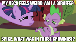 Size: 890x500 | Tagged: safe, imported from derpibooru, screencap, spike, twilight sparkle, drugs, high, image macro, meme, stoned, stoner spike