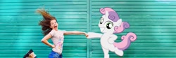 Size: 1500x500 | Tagged: safe, imported from derpibooru, sweetie belle, human, pony, unicorn, claire corlett, hoofbump, irl, irl human, photo, ponies in real life