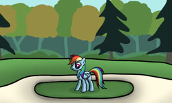 Size: 640x384 | Tagged: safe, artist:platinumdrop, imported from derpibooru, rainbow dash, female, forest, solo