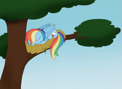 Size: 983x720 | Tagged: safe, artist:ravenpuff, imported from derpibooru, rainbow dash, pegasus, pony, behaving like a bird, bird nest, cute, dashabetes, eyes closed, female, nest, prone, sleeping, solo, tree