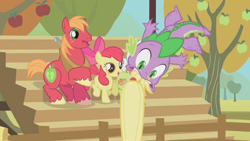 Size: 852x480 | Tagged: safe, imported from derpibooru, screencap, apple bloom, applejack, big macintosh, granny smith, spike, earth pony, pony, fall weather friends, male, stallion, tail bite