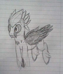 Size: 415x485 | Tagged: safe, imported from derpibooru, bird pone, pony, vulture, monochrome, ponified, solo, traditional art