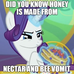 Size: 500x499 | Tagged: safe, edit, edited screencap, imported from derpibooru, screencap, rarity, castle sweet castle, caption, female, food fact rarity, forced meme, honey, meme, meta, nectar, solo, vomit