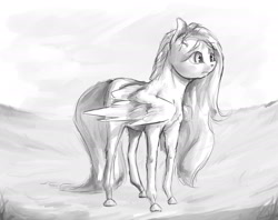 Size: 1926x1524 | Tagged: safe, artist:cuttledreams, imported from derpibooru, fluttershy, female, looking away, monochrome, solo, spread wings, standing