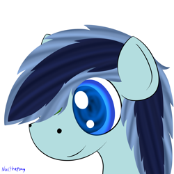 Size: 2500x2500 | Tagged: safe, artist:asknoxthepony, imported from derpibooru, oc, oc only, oc:squall swift, portrait, solo