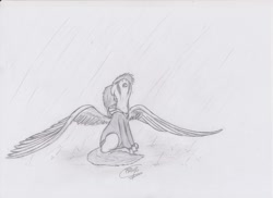 Size: 1280x930 | Tagged: safe, artist:raw16, imported from derpibooru, oc, oc only, oc:ray muller, pegasus, pony, clothes, crying, female, hoodie, monochrome, rain, sad, solo, spread wings, traditional art, wings