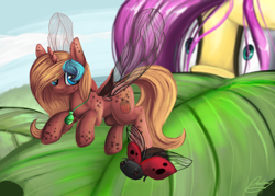 Size: 1400x1000 | Tagged: safe, artist:xxcrazzzyxx, imported from derpibooru, fluttershy, oc, ladybug, pony, duo