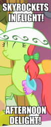 Size: 249x609 | Tagged: safe, edit, edited screencap, imported from derpibooru, screencap, peachy sweet, apple family member, image macro, meme
