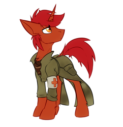 Size: 1360x1407 | Tagged: safe, artist:ralek, imported from derpibooru, oc, oc only, oc:redcap, fallout equestria, chest fluff, clothes, coat, medic, neckerchief, solo