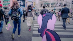 Size: 1280x719 | Tagged: safe, artist:estories, artist:novi-ta, imported from derpibooru, spike, twilight sparkle, human, crosswalk, irl, japan, photo, ponies in real life, rear view, street, vector