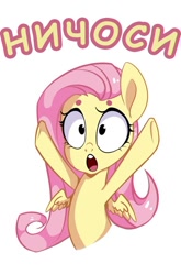 Size: 530x801 | Tagged: artist needed, safe, imported from derpibooru, fluttershy, cyrillic, exploitable meme, female, forced meme, meme, nichosi, reaction image, russian, solo