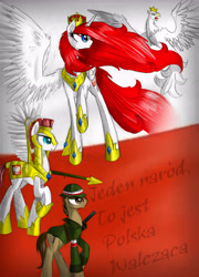 Size: 3465x4815 | Tagged: safe, artist:alicjaspring, imported from derpibooru, oc, oc only, oc:queen poland, alicorn, eagle, pony, alicorn oc, guard, nation ponies, patriotic, poland, polish, ponies, remember, soldier, soldiers, translated in the comments