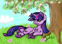 Size: 1400x1000 | Tagged: safe, artist:superdashiebros, imported from derpibooru, twilight sparkle, female, solo, unshorn fetlocks