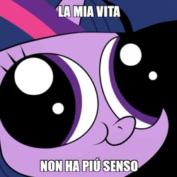 Size: 475x475 | Tagged: safe, imported from derpibooru, twilight sparkle, hey you, image macro, italian, meme