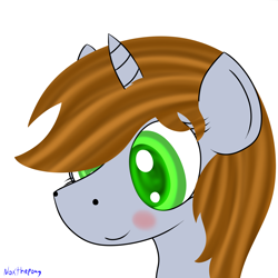 Size: 2500x2500 | Tagged: safe, artist:asknoxthepony, imported from derpibooru, oc, oc only, oc:littlepip, pony, unicorn, fallout equestria, blushing, fanfic, fanfic art, female, horn, lightbringer, mare, portrait, simple background, solo, white background