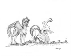 Size: 1000x786 | Tagged: safe, artist:baron engel, imported from derpibooru, shining armor, twilight sparkle, alicorn, bear, pony, fanfic:a different perspective, alicornified, backbend, crash, face down ass up, faceplant, fanfic art, flying lesson, grayscale, monochrome, pencil drawing, prince shining armor, race swap, shiningcorn, traditional art, twilight sparkle (alicorn), you're doing it wrong