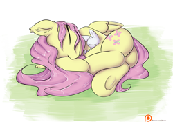 Size: 1550x1100 | Tagged: safe, artist:alasou, imported from derpibooru, angel bunny, fluttershy, cuddling, cute, ear fluff, eyes closed, frog (hoof), grin, long mane, on side, patreon, patreon logo, plot, shyabetes, side, sleeping, smiling, snuggling, underhoof