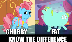 Size: 1036x618 | Tagged: safe, edit, edited screencap, imported from derpibooru, screencap, cup cake, rarity, sassy saddles, whoa nelly, canterlot boutique, chubby, comparison, fat, image macro, know the difference, meme, obese