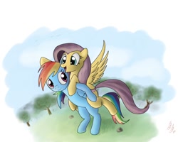 Size: 1000x800 | Tagged: safe, artist:miokomata, imported from derpibooru, fluttershy, rainbow dash, pegasus, pony, female, flutterdash, fluttershy riding rainbow dash, lesbian, ponies riding ponies, riding, shipping, tree