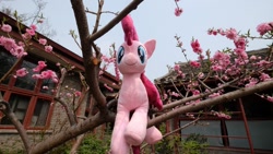 Size: 1248x704 | Tagged: safe, artist:hutouluosha, imported from derpibooru, pinkie pie, irl, photo, plum blossom, plushie