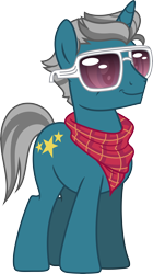 Size: 6000x10734 | Tagged: safe, artist:fercho262, imported from derpibooru, fashion plate, canterlot boutique, absurd resolution, bandana, male, simple background, solo, sunglasses, transparent background, vector