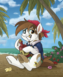 Size: 807x1000 | Tagged: safe, artist:spainfischer, imported from derpibooru, pipsqueak, crab, bandana, bottle, cloud, cloudy, dagger, ear piercing, flower, gold tooth, island, male, ocean, older, palm tree, patch, piercing, pirate, sand, seashell, signature, sitting, sky, solo, tree, wave