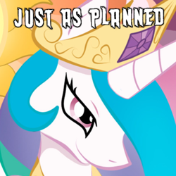 Size: 600x600 | Tagged: safe, imported from derpibooru, princess celestia, alicorn, pony, female, glare, image macro, just as planned, mare, meme, reaction image, smirk, solo