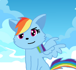 Size: 504x466 | Tagged: safe, imported from derpibooru, rainbow dash, cat, female, solo, species swap