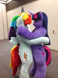 Size: 600x800 | Tagged: safe, artist:tashiroyu, imported from derpibooru, rainbow dash, twilight sparkle, anthro, human, cosplay, costume, embrace, female, fursuit, hug, irl, irl human, lesbian, photo, shipping, twidash