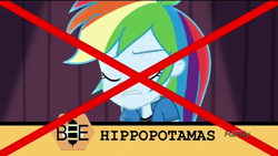 Size: 1366x768 | Tagged: safe, imported from derpibooru, screencap, rainbow dash, hippopotamus, acadeca, equestria girls, friendship games, embarrassed, fail, female, misspelling, spelling bee