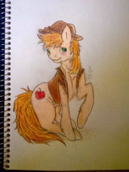 Size: 720x960 | Tagged: safe, artist:serenity, imported from derpibooru, braeburn, blushing, male, sitting, smiling, solo, stupid sexy braeburn, traditional art