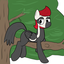 Size: 1000x1000 | Tagged: artist needed, safe, artist:bojangleee, imported from derpibooru, oc, oc only, oc:woodpecker, bird pone, prone, solo, tree, tree branch, woodpecker