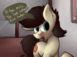 Size: 1280x955 | Tagged: safe, artist:marsminer, imported from derpibooru, oc, oc only, oc:keith, pony, blushing, compliment, dialogue, male, smiling, solo, stallion